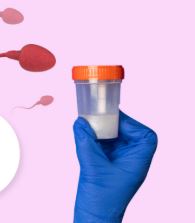 Donor Sperm Program