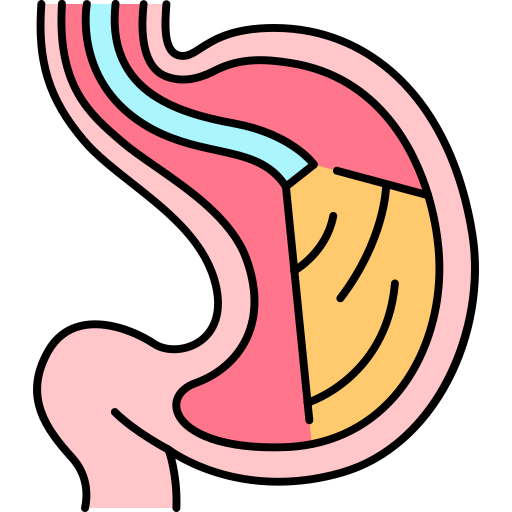 Endoscopy